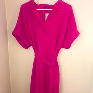 NWT Ann Taylor Magenta tie dress. Large Petite.